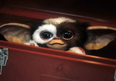 Nascondete i biscotti dopo mezzanotte, i Gremlins torneranno in un terzo film