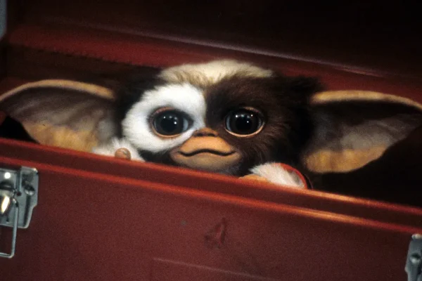 Nascondete i biscotti dopo mezzanotte, i Gremlins torneranno in un terzo film