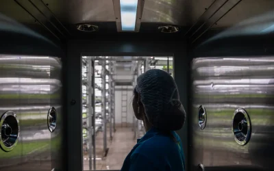 Quando l’intelligenza artificiale può persino farci risparmiare acqua. Non è un paradosso, succede in agricoltura