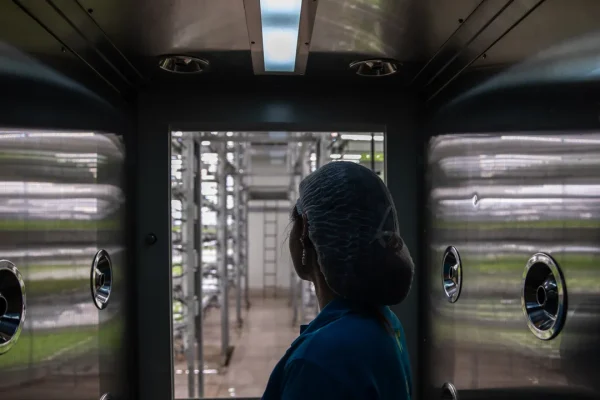 Quando l’intelligenza artificiale può persino farci risparmiare acqua. Non è un paradosso, succede in agricoltura