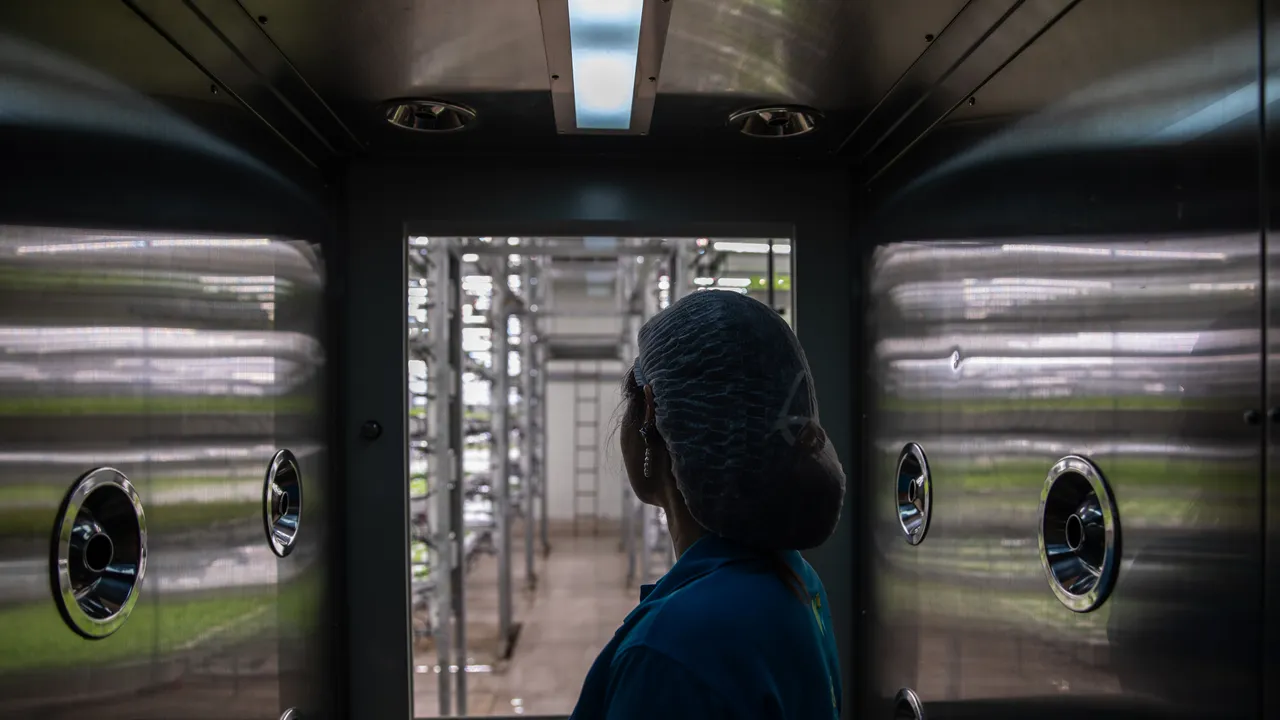 Quando l’intelligenza artificiale può persino farci risparmiare acqua. Non è un paradosso, succede in agricoltura