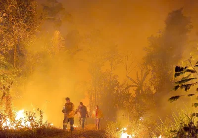 Deforestazione fuori controllo, come gli incendi hanno trasformato la mappa dei polmoni verdi del mondo