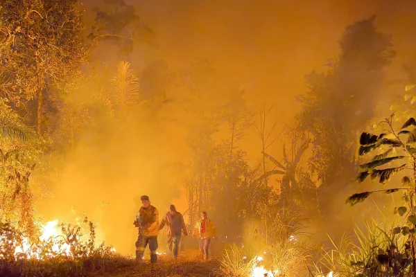Deforestazione fuori controllo, come gli incendi hanno trasformato la mappa dei polmoni verdi del mondo
