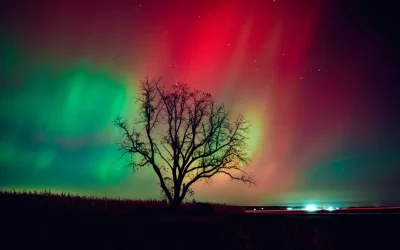 Aurora boreale, come nasce e perché ultimamente sta diventando più comune