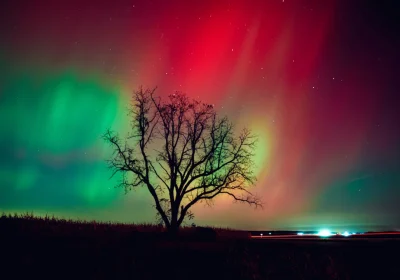 Aurora boreale, come nasce e perché ultimamente sta diventando più comune