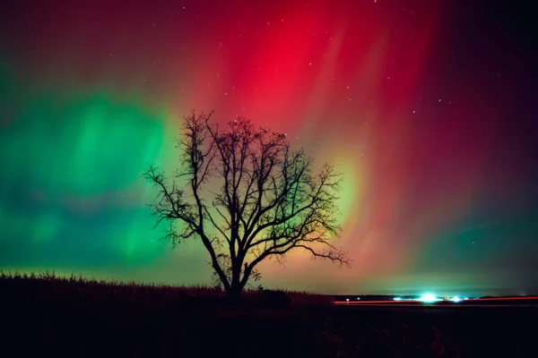 Aurora boreale, come nasce e perché ultimamente sta diventando più comune