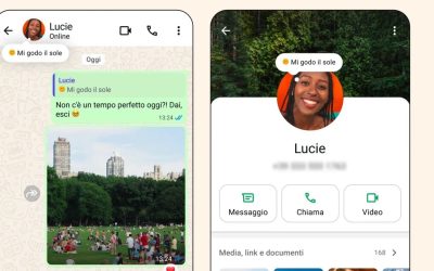 WhatsApp torna alle origini con la funzione ‘informazioni’ – Software e App