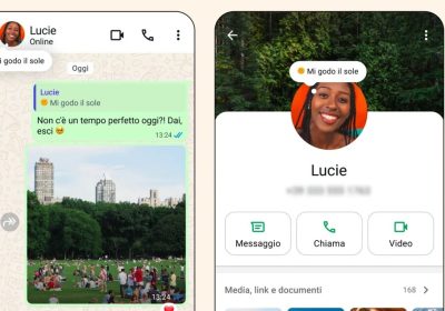 WhatsApp torna alle origini con la funzione ‘informazioni’ – Software e App