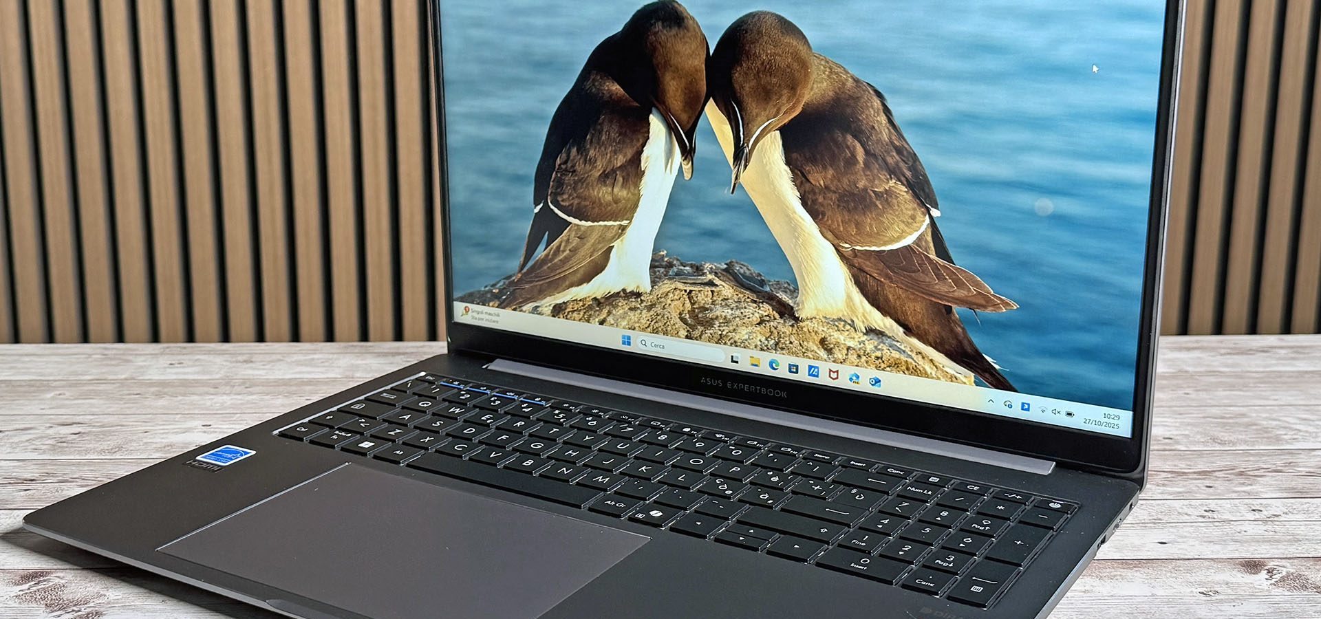 ASUS Expertbook PM3: il notebook robusto per le aziende