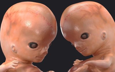 Bambini su misura? Il caso della startup Preventive – che piace ai miliardari della Silicon Valley