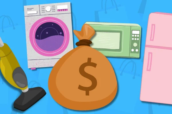 Bonus elettrodomestici 2025, dove e come puoi usarlo online