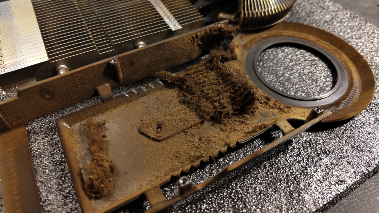 Fumo di sigaretta e sporco per 17 anni: da relitto tossico a gioiello da collezione, così è rinata questa 9800 GT