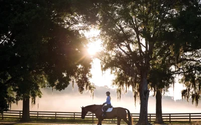Garmin Blaze, la fascia con sensore che monitora la salute del cavallo