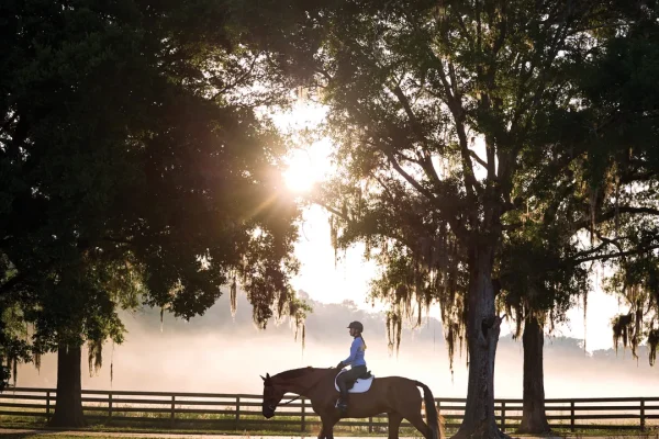 Garmin Blaze, la fascia con sensore che monitora la salute del cavallo