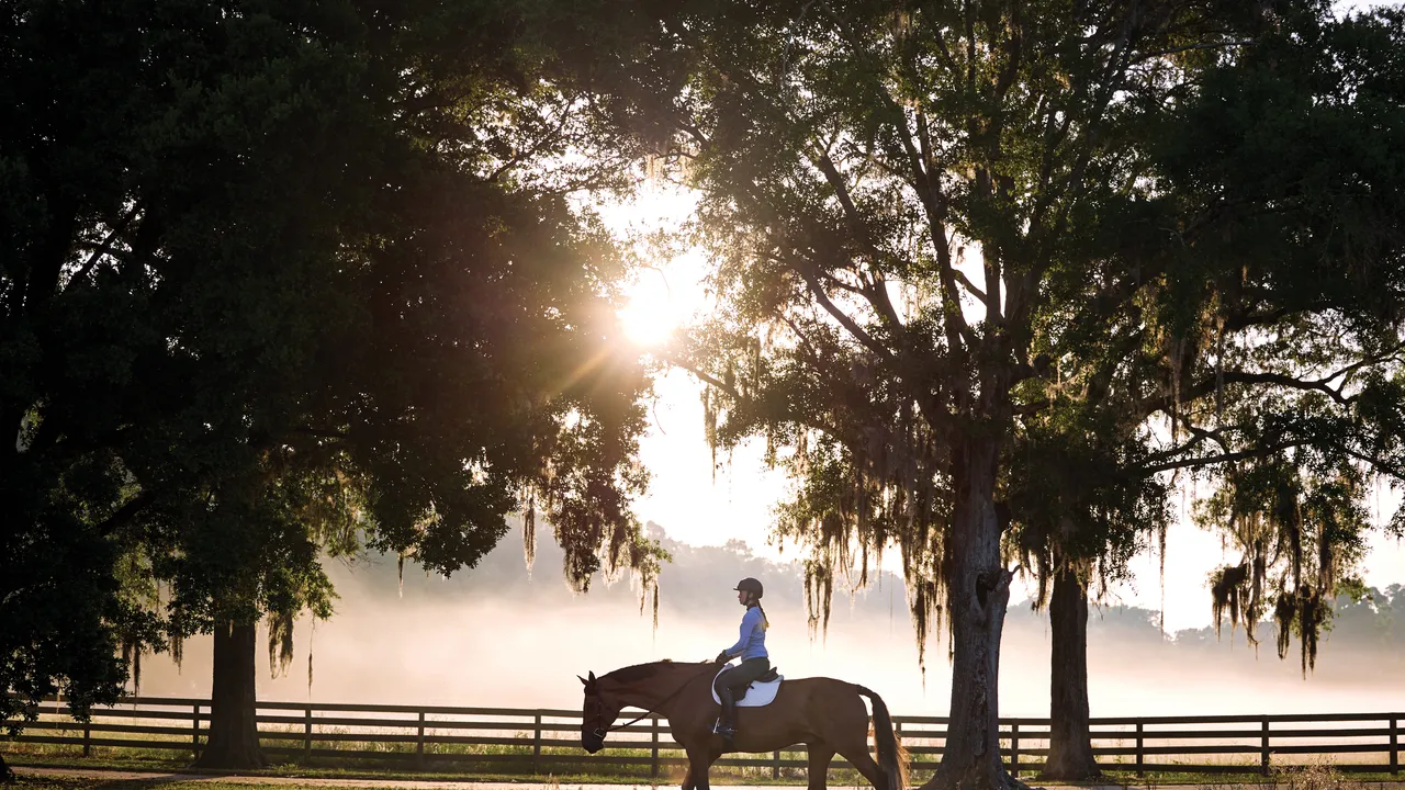 Garmin Blaze, la fascia con sensore che monitora la salute del cavallo