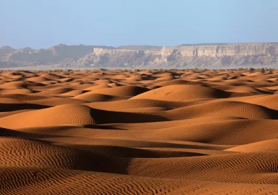 Il progetto della megalopoli futuristica dell’Arabia Saudita è impossibile da realizzare