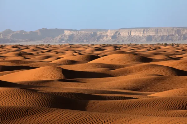 Il progetto della megalopoli futuristica dell’Arabia Saudita è impossibile da realizzare