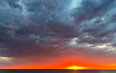 Cosa sono questi limiti planetari e perché ora si parla di punti di non ritorno? Fermiamoci ad ascoltare i segnali della natura