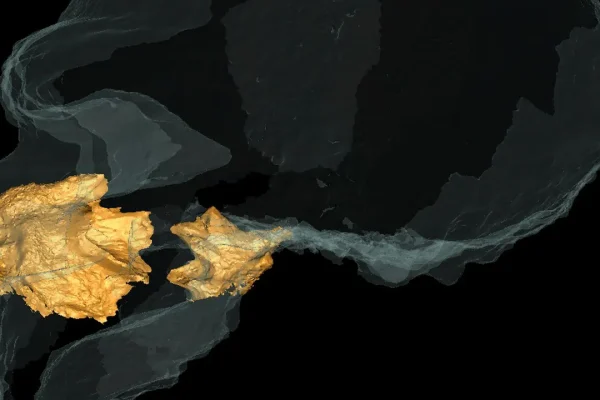 Il mistero del grosso naso dei Neanderthal è stato risolto, l’uomo di Altamura ci dice che non era adattato al freddo