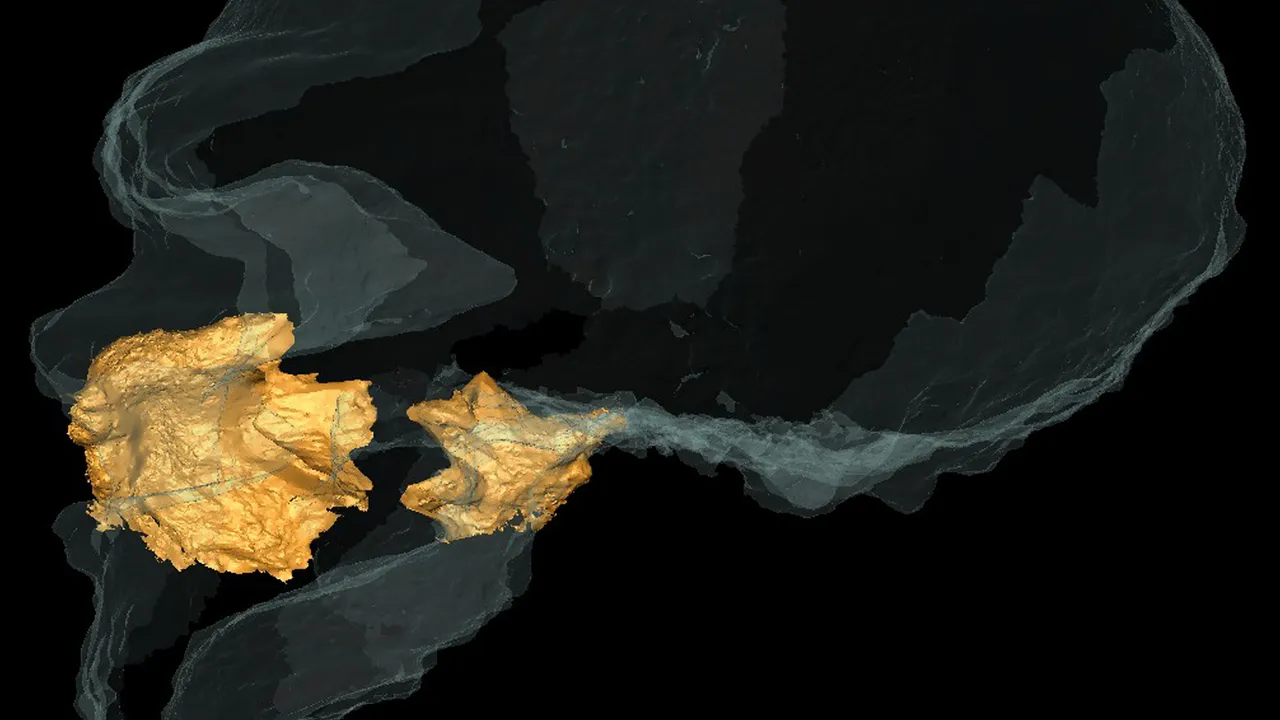 Il mistero del grosso naso dei Neanderthal è stato risolto, l’uomo di Altamura ci dice che non era adattato al freddo