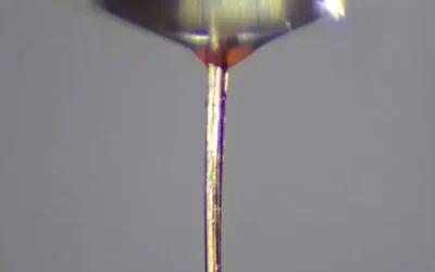 Come le proboscidi delle zanzare della febbre gialla sono diventate mini-ugelli per la stampa 3d di tessuti biologici