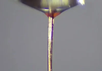 Come le proboscidi delle zanzare della febbre gialla sono diventate mini-ugelli per la stampa 3d di tessuti biologici