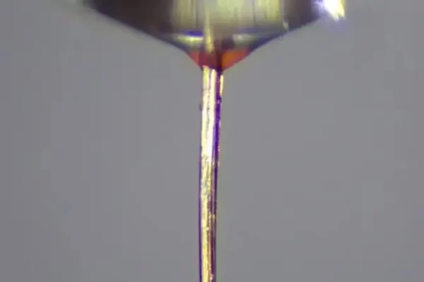 Come le proboscidi delle zanzare della febbre gialla sono diventate mini-ugelli per la stampa 3d di tessuti biologici