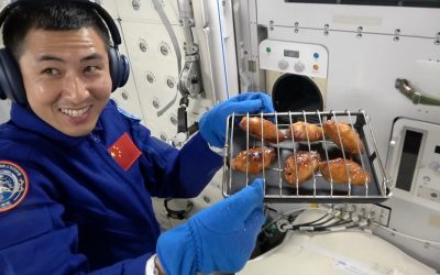 Shenzhou-21: esperimenti sui topi in orbita e installato un forno ventilato per cucinare sulla stazione spaziale cinese
