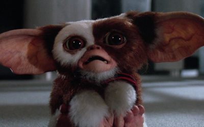 Warner Bros. riporterà al cinema i Gremlins dopo 37 anni: uscita fissata per novembre 2027
