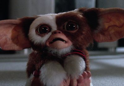 Warner Bros. riporterà al cinema i Gremlins dopo 37 anni: uscita fissata per novembre 2027