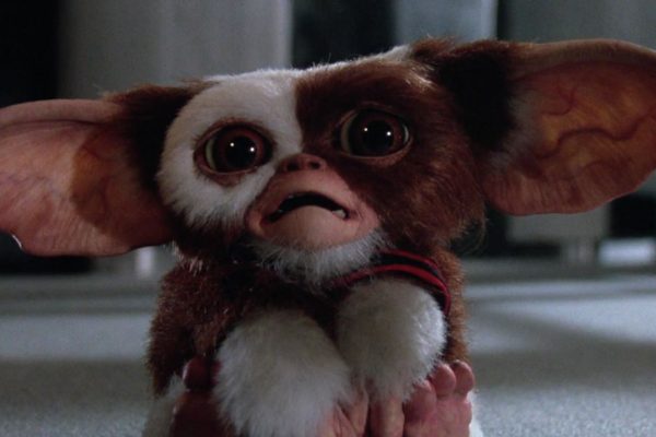 Warner Bros. riporterà al cinema i Gremlins dopo 37 anni: uscita fissata per novembre 2027