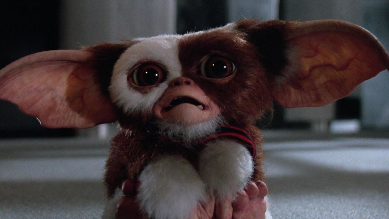 Warner Bros. riporterà al cinema i Gremlins dopo 37 anni: uscita fissata per novembre 2027
