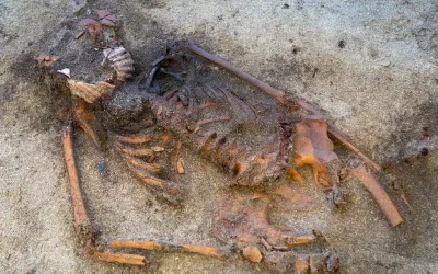 Gli archeologi sono alle prese con l’enigma di una donna vichinga sepolta con due conchiglie di capesante sulla bocca