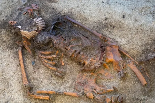 Gli archeologi sono alle prese con l’enigma di una donna vichinga sepolta con due conchiglie di capesante sulla bocca