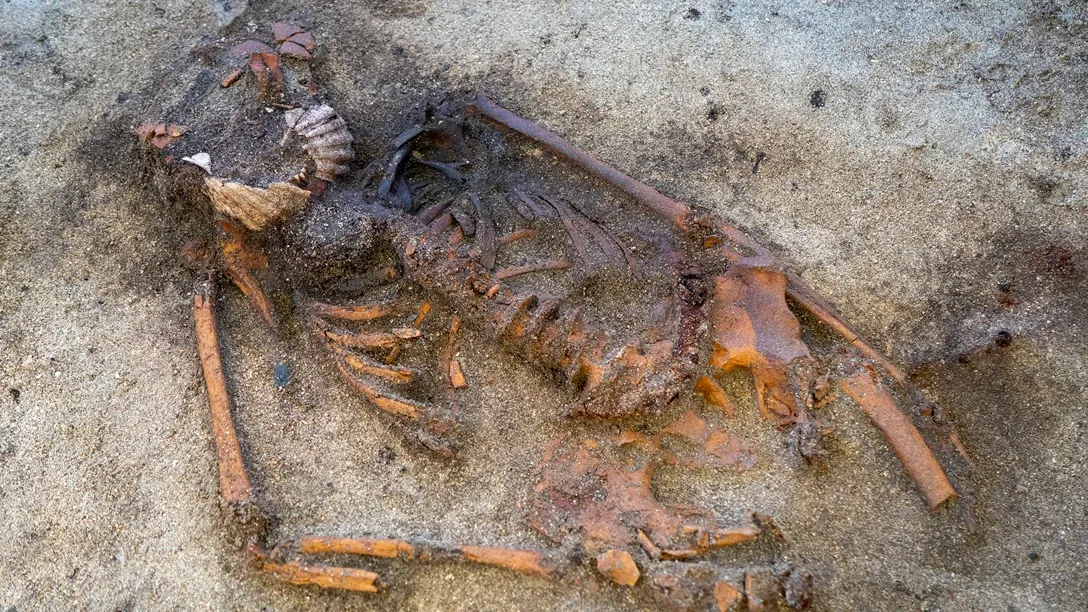 Gli archeologi sono alle prese con l’enigma di una donna vichinga sepolta con due conchiglie di capesante sulla bocca