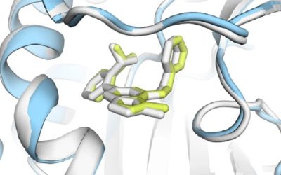 AlphaFold compie 5 anni, ricercatori premiati col Nobel nel 2024 – Future Tech