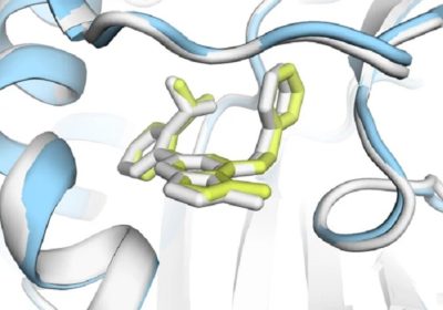 AlphaFold compie 5 anni, ricercatori premiati col Nobel nel 2024 – Future Tech