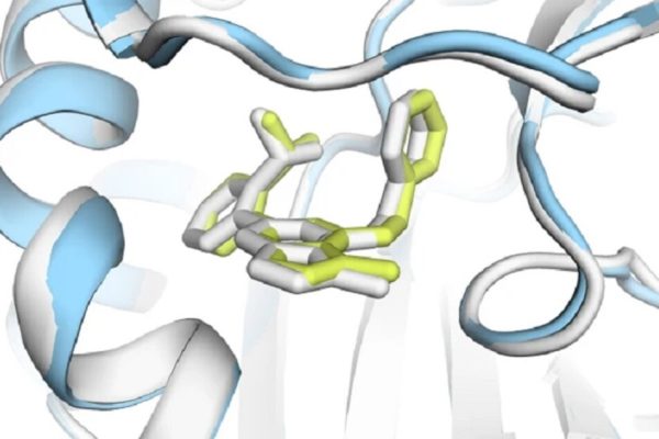 AlphaFold compie 5 anni, ricercatori premiati col Nobel nel 2024 – Future Tech