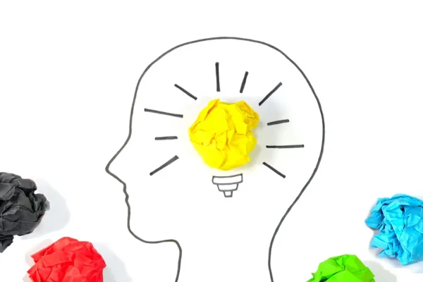 Fasi del cervello umano, l’organo attraversa cinque stadi diversi e non è “adulto” prima dei 32 anni