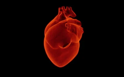 Malattie cardiovascolari, la prevenzione primaria resta fondamentale