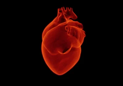 Malattie cardiovascolari, la prevenzione primaria resta fondamentale