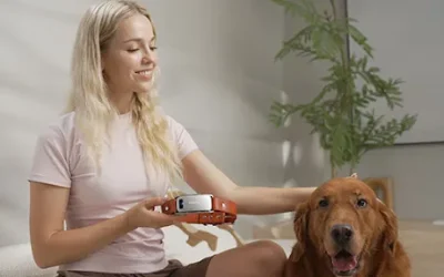 Il collare AI che traduce il linguaggio dei cani