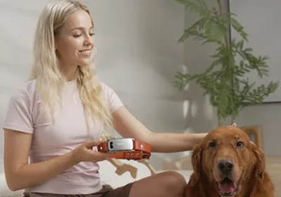 Il collare AI che traduce il linguaggio dei cani