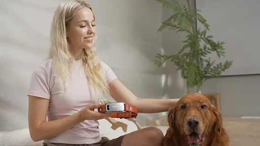 Il collare AI che traduce il linguaggio dei cani