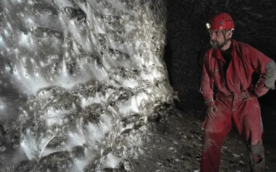 È stata scoperta la ragnatela più grande di sempre, che ospita un’impressionante megalopoli dove vivono 110 mila ragni