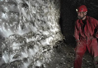 È stata scoperta la ragnatela più grande di sempre, che ospita un’impressionante megalopoli dove vivono 110 mila ragni