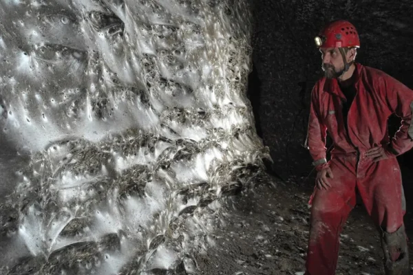 È stata scoperta la ragnatela più grande di sempre, che ospita un’impressionante megalopoli dove vivono 110 mila ragni