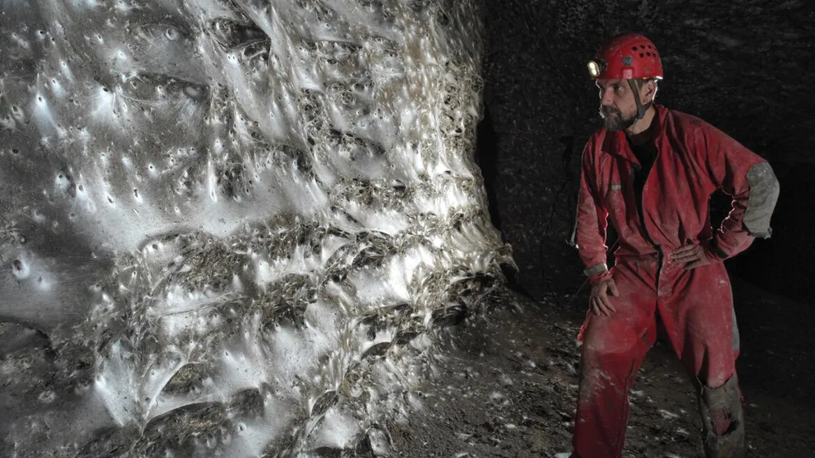 È stata scoperta la ragnatela più grande di sempre, che ospita un’impressionante megalopoli dove vivono 110 mila ragni