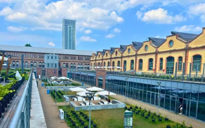 Il cambiamento climatico cambia la geografia dei vigneti: cosa sta succedendo