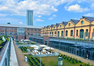 Il cambiamento climatico cambia la geografia dei vigneti: cosa sta succedendo